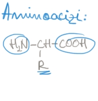 Compuşi organici cu importanţă biologică (I)